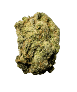 Ray-K 41 | Hi-Tech